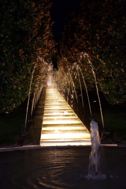 Fotografia de AF Foto - Galeria Fotografica: La fotografa es lo que queda ... - Foto: 