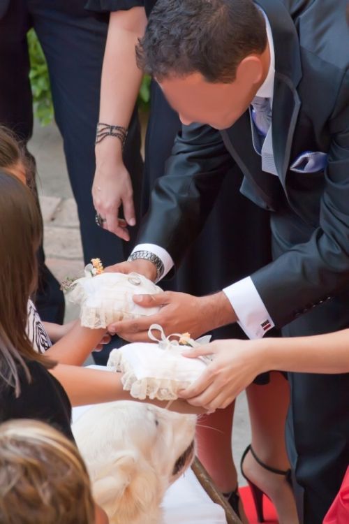 Fotografia de AF Foto - Galeria Fotografica: La fotografa es lo que queda ... - Foto: 