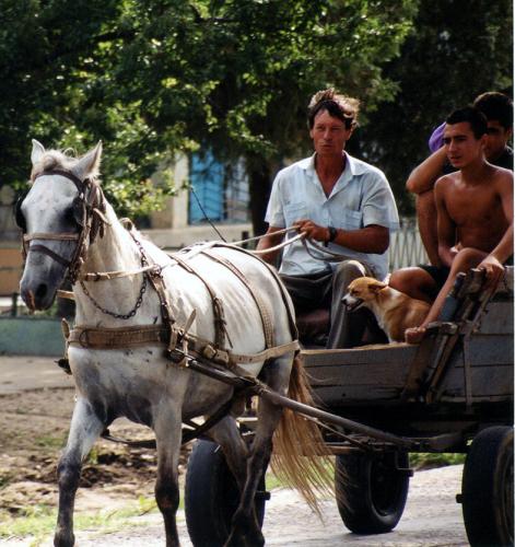 Fotografia de Sin Nombre - Galeria Fotografica: OLGA DUARTE - Foto: 