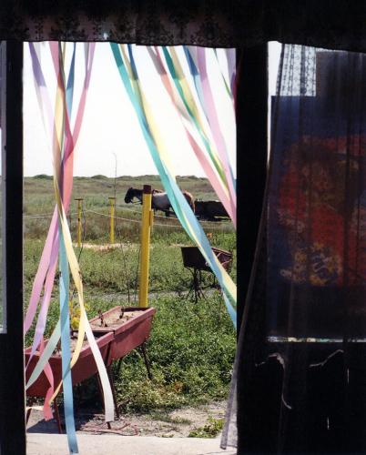 Fotografia de Sin Nombre - Galeria Fotografica: OLGA DUARTE - Foto: 