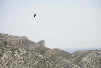 Fotografia de taller inphoto - Galeria Fotografica: territorio - Foto: territorio_09