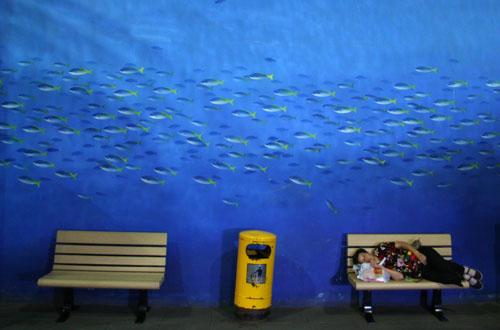 Fotografia de Markel Redondo Fotografo - Galeria Fotografica: El sueo de China - Foto: Un dia en el Zoo