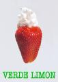 Fotos de AKISTAJANE -  Foto: Disfruta - Verde Limon