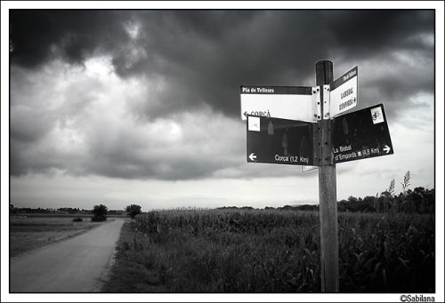 Fotografia de xavi - Galeria Fotografica: tarde de tempesta - Foto: tarde de tempesta II