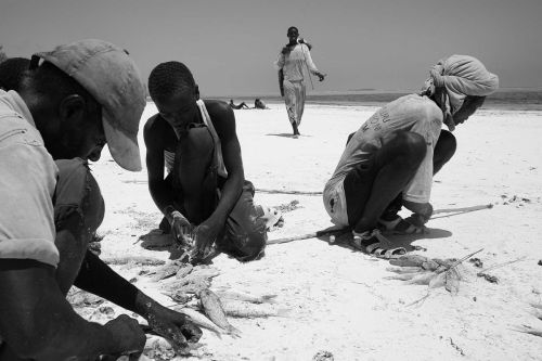 Fotografia de alberto buzzanca - Galeria Fotografica: zanzibar by albertobuzzanca - Foto: 