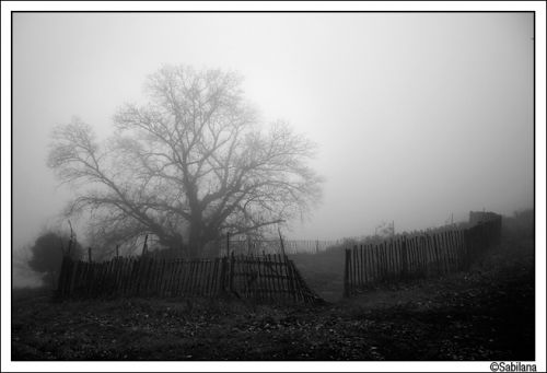 Fotografia de xavi - Galeria Fotografica: tarde de tempesta - Foto: 