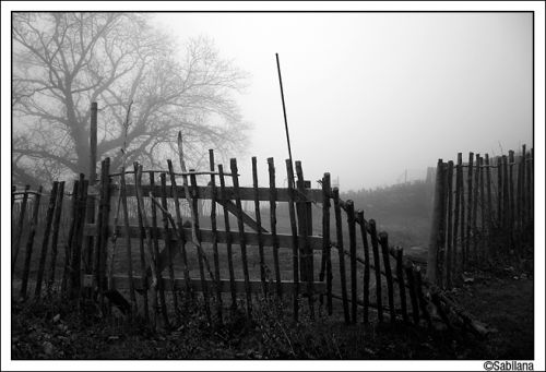 Fotografia de xavi - Galeria Fotografica: tarde de tempesta - Foto: 