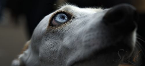 Fotografia de Ernest Brugu - Galeria Fotografica: Un poco de todo - Foto: 