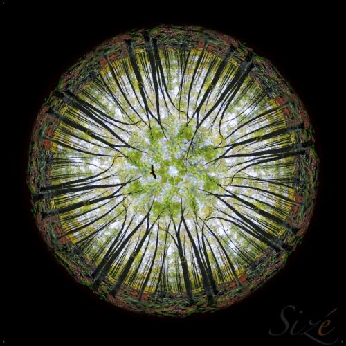 Fotografia de Ernest Brugu - Galeria Fotografica: Un poco de todo - Foto: 