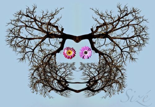 Fotografia de Ernest Brugu - Galeria Fotografica: Un poco de todo - Foto: 