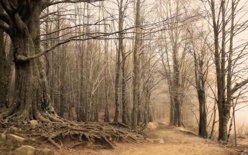 Fotografia de Ernest Brugu - Galeria Fotografica: Un poco de todo - Foto: 