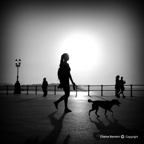 Fotografia de CHEMA BARREIRO FOTOGRAFO - Galeria Fotografica: DE TODO UN POCO - Foto: 