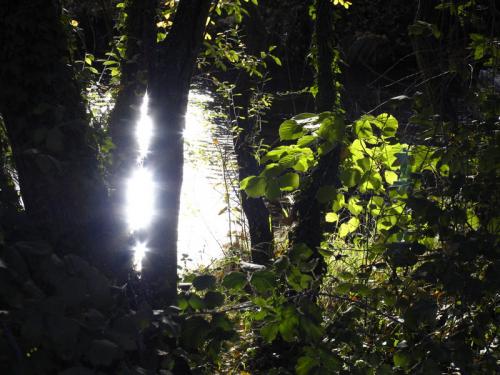 Fotografia de Lina - Galeria Fotografica: Otoo - Foto: Reflejos