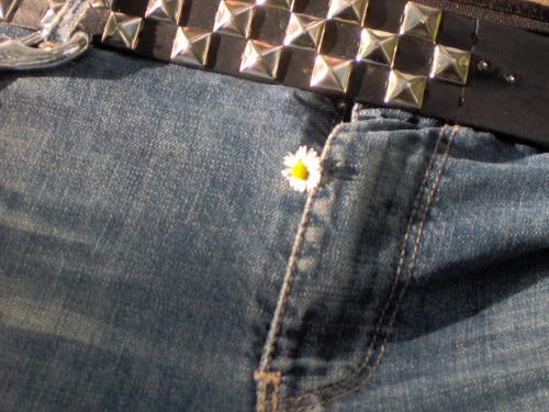 Fotografia de Sirebria - Galeria Fotografica: DETALLES - Foto: FLOR TRAVIESA