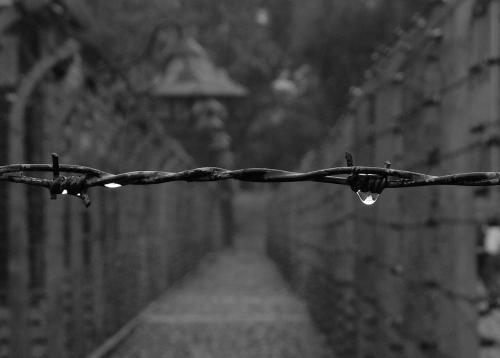 Fotografia de Jaime - Galeria Fotografica: Europa - Foto: Auschwitz 01