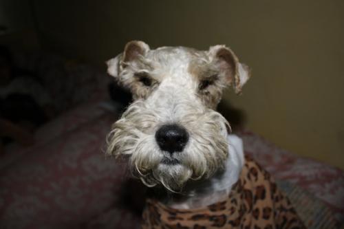 Fotografia de Astrid.er - Galeria Fotografica: Contacto - Foto: Flash								