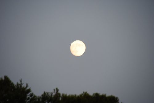 Fotografia de antonioortega - Galeria Fotografica: Atardeceres II - Foto: 