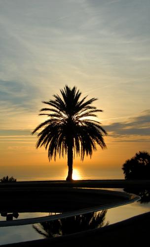Fotografia de FXC - Galeria Fotografica: DIVERSIDAD - Foto: RENACER