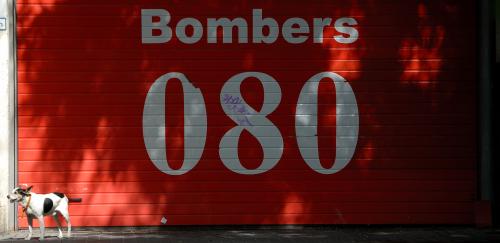 Fotografia de FXC - Galeria Fotografica: DIVERSIDAD - Foto: RED