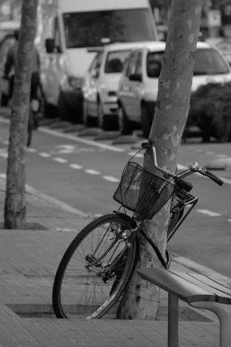 Fotografia de FXC - Galeria Fotografica: DIVERSIDAD - Foto: ESTACIONAMIENTO