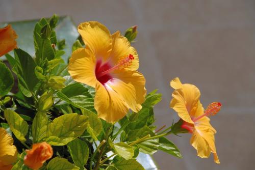 Fotografia de FXC - Galeria Fotografica: DIVERSIDAD - Foto: NATURALEA