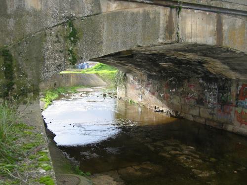 Fotografia de Eva Ruiz - Galeria Fotografica: inicio de una vida - Foto: tranquilidad