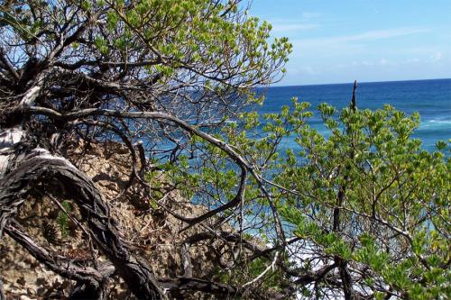 Fotografia de Franco-Mller - Galeria Fotografica: Luces de color - Foto: Hay Das