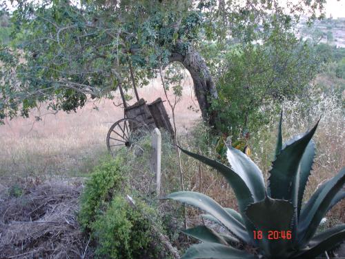 Fotografia de cerrando etapas - Galeria Fotografica: Pueblos de Mallorca - Foto: 	Recuerdos							