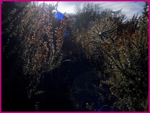 Fotografia de Oskar - Galeria Fotografica: Monte - Foto: Telara�a