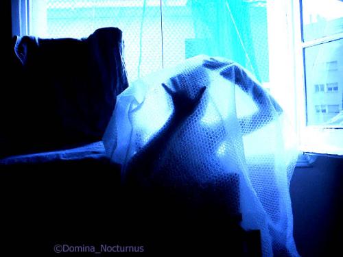 Fotografia de Marisol - Galeria Fotografica: Retoques III - Foto: 	Help Me							