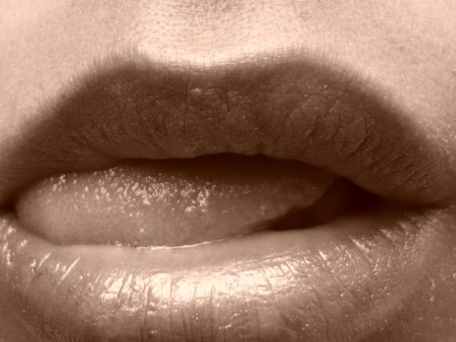 Fotografia de Yanine - Galeria Fotografica: mas que mil palaras... - Foto: 