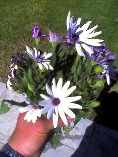 Fotografia de Juan Dario - Galeria Fotografica: Variado - Foto: 