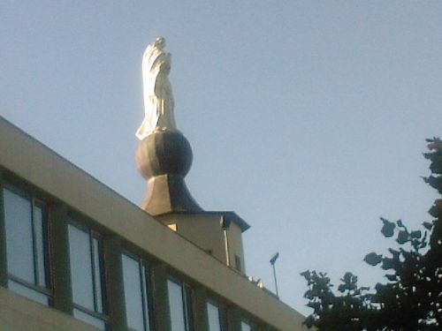 Fotografia de Juan Dario - Galeria Fotografica: Variado - Foto: 