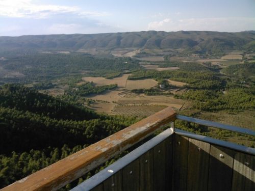 Fotografia de Juan Dario - Galeria Fotografica: Variado - Foto: 