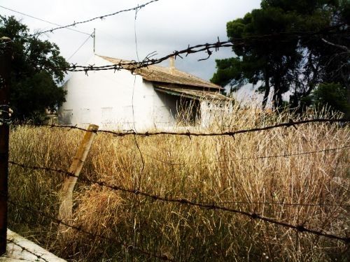 Fotografia de Juan Dario - Galeria Fotografica: Variado - Foto: 