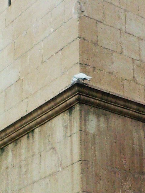 Fotografia de Juan Dario - Galeria Fotografica: Variado - Foto: 