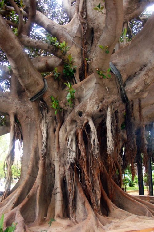 Fotografia de Juan Dario - Galeria Fotografica: Variado - Foto: 