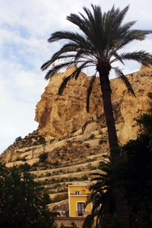 Fotografia de Juan Dario - Galeria Fotografica: Variado - Foto: 