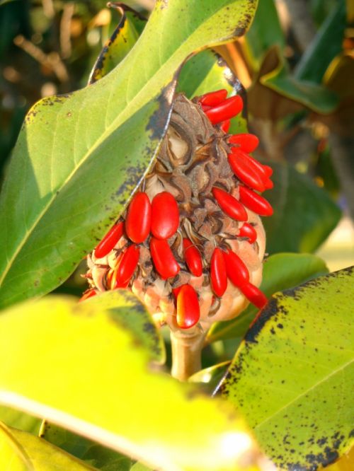 Fotografia de Juan Dario - Galeria Fotografica: Variado - Foto: 