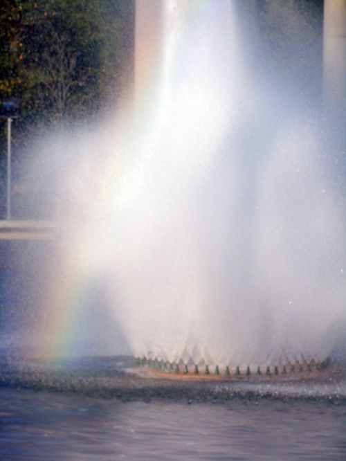 Fotografia de Juan Dario - Galeria Fotografica: Variado - Foto: 