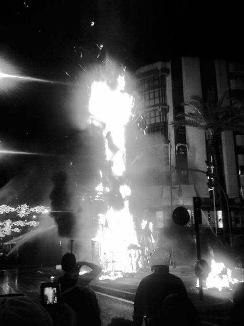 Fotografia de Juan Dario - Galeria Fotografica: Variado - Foto: 