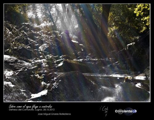 Fotografia de Entrelente - Galeria Fotografica: Camarate 28 de Octubre de 2012 - Foto: Sobre como el agua fluye a Contraluz