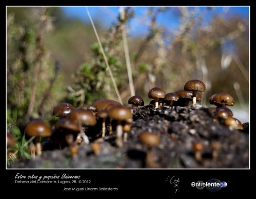 Fotografia de Entrelente - Galeria Fotografica: Camarate 28 de Octubre de 2012 - Foto: Entre setas y peque?os Universos