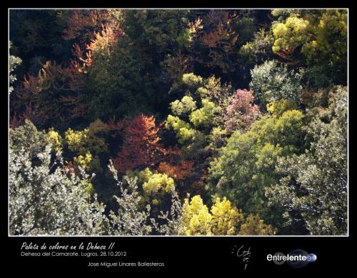 Fotografia de Entrelente - Galeria Fotografica: Camarate 28 de Octubre de 2012 - Foto: Plaeta de colores en la Dehesa II