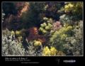 Foto de  Entrelente - Galería: Camarate 28 de Octubre de 2012 - Fotografía: Plaeta de colores en la Dehesa II