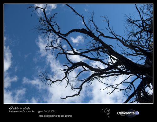 Fotografia de Entrelente - Galeria Fotografica: Camarate 28 de Octubre de 2012 - Foto: Al cielo se alzaba