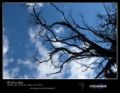 Foto de  Entrelente - Galería: Camarate 28 de Octubre de 2012 - Fotografía: Al cielo se alzaba