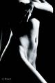Fotos de Robert - Fotografia -  Foto: Desnudo Estudio B&N - DESNUDO #5