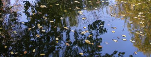 Fotografia de januaryxii - Galeria Fotografica: Cajn de sastre - Foto: Regata