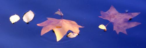 Fotografia de januaryxii - Galeria Fotografica: Cajn de sastre - Foto: Naufragos